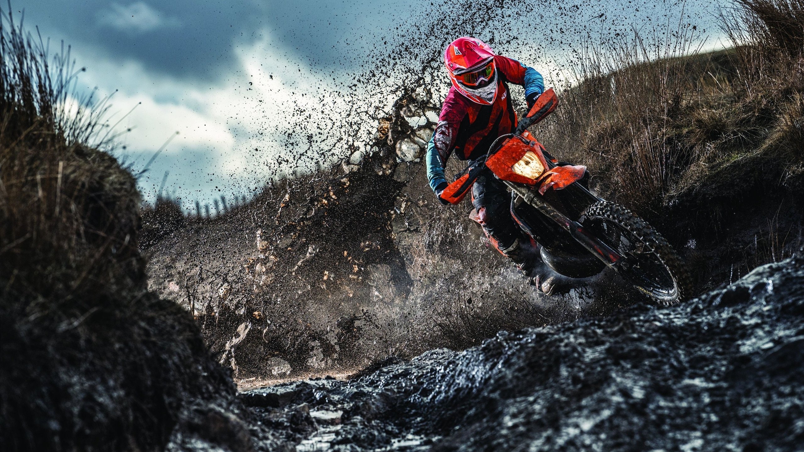 冠军背后的汗水与坚持，冠军背后的努力