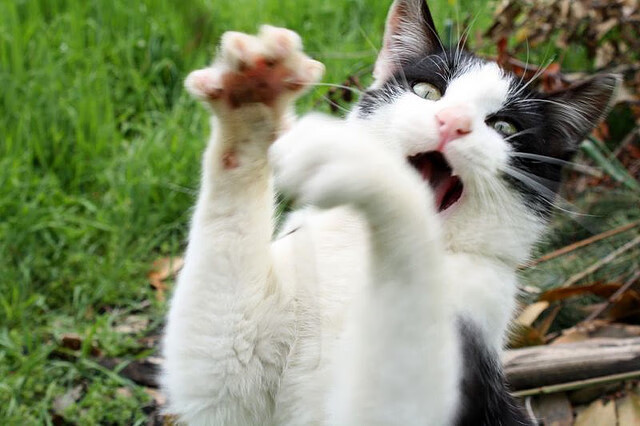 爱游戏体育APP下载-_青少年足球训练营：青春奔跑的起点_，青少年足球培训班