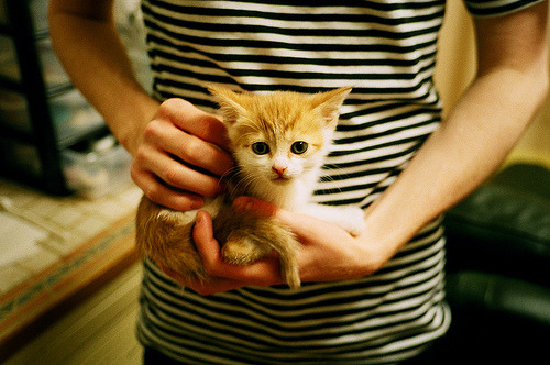 爱游戏娱乐平台-_飞盘运动嘉年华：趣味合作的极致体验_，飞盘运动比赛