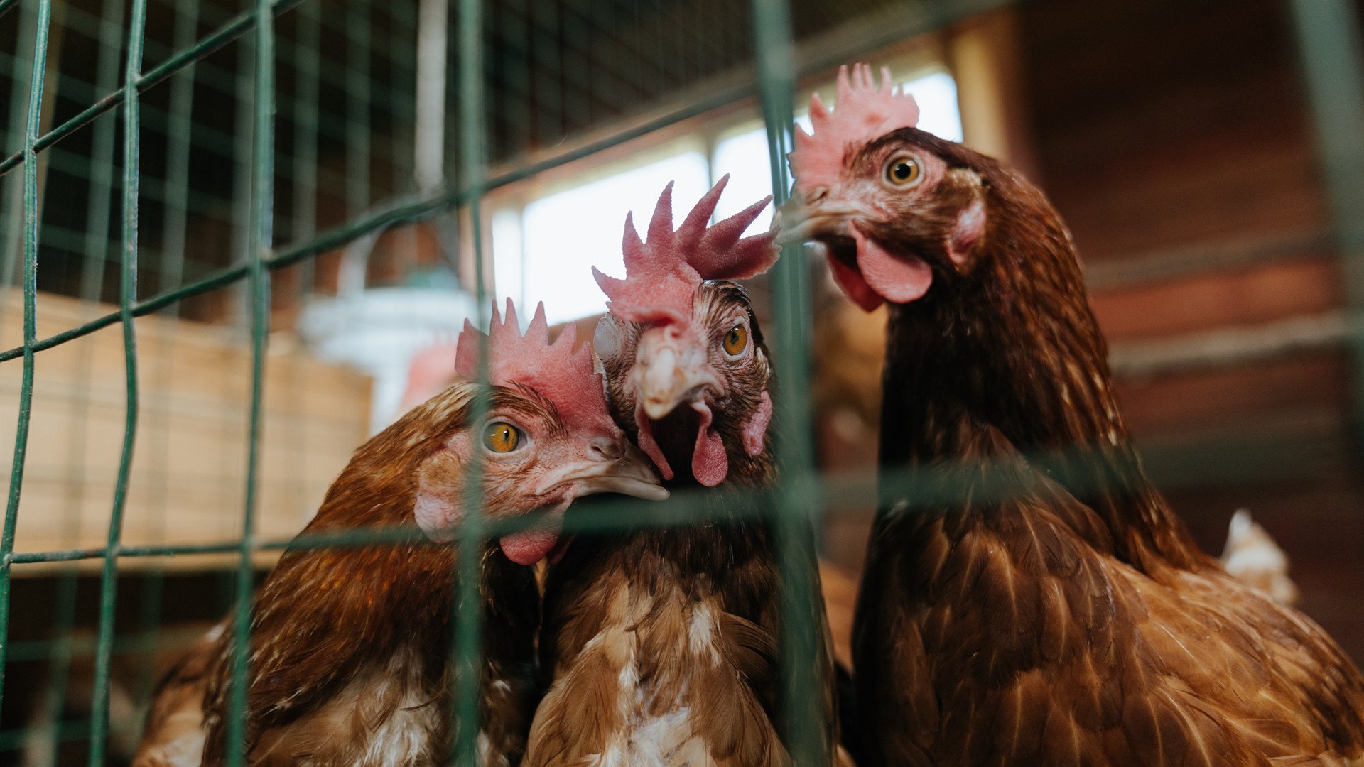 AIYOUXI.COM-_马刺核心状态稳定，引发期待_，马刺队核心