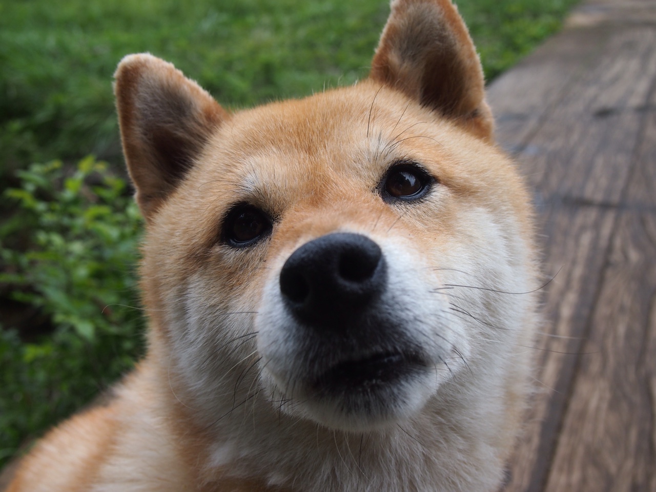 爱游戏-太阳新引进助教为前WNBA主帅，球队战术更灵活，太阳队现任主教练是谁