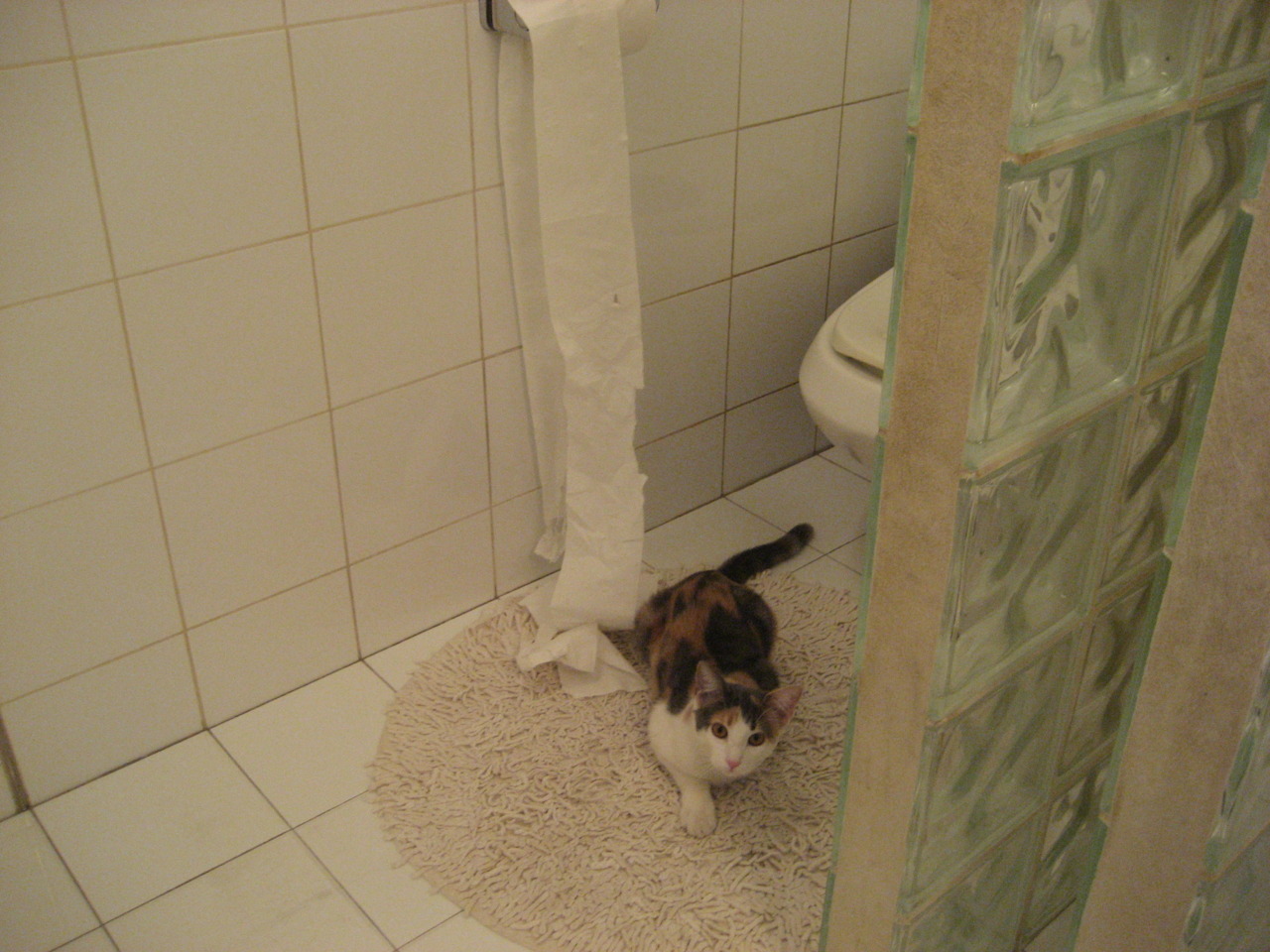 爱游戏娱乐-德国男子跳水选手在双人10米跳台比赛中获得银牌，德国女子双人跳水