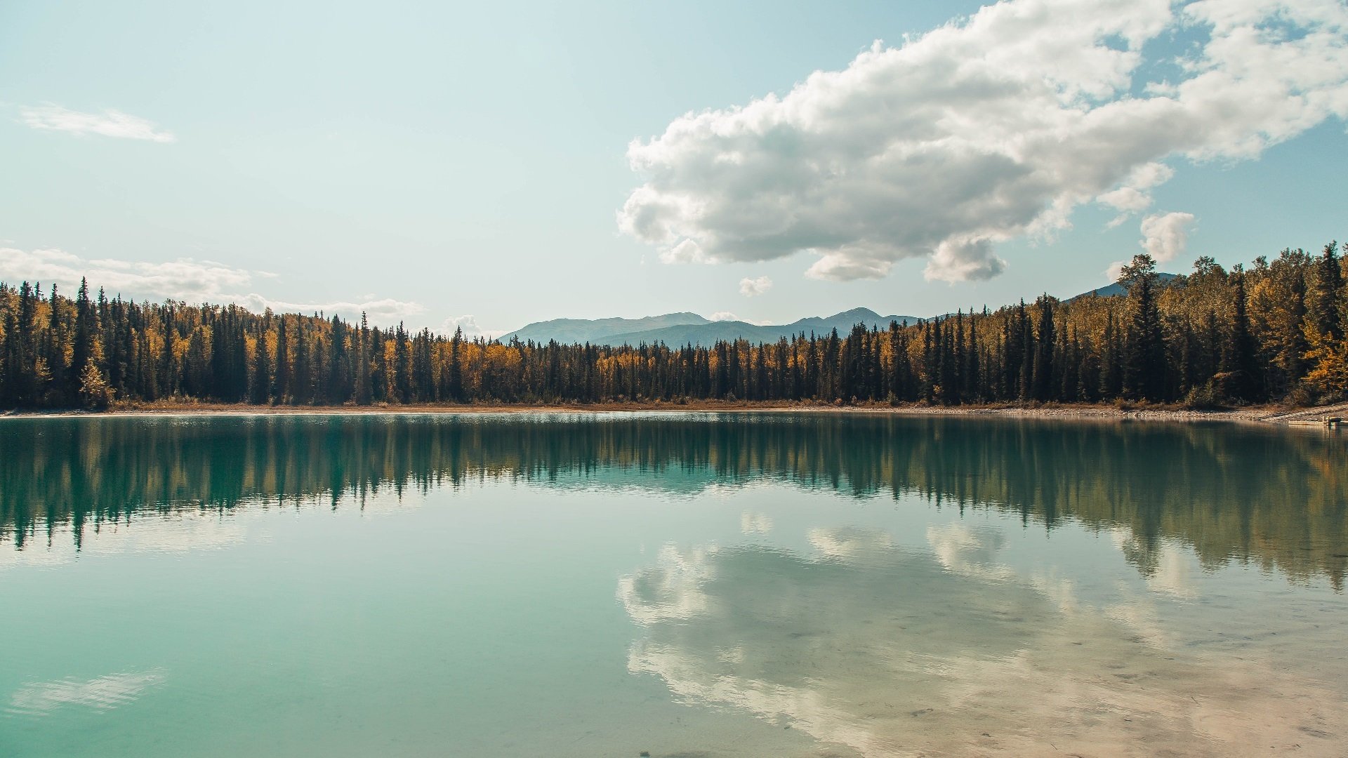 AYX GAMING-意甲比赛局势骤然变化，逆转剧情不断，意甲比赛视频